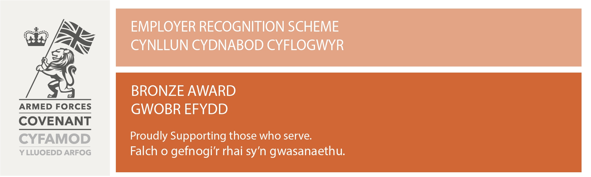 Bronze - Welsh Banner (2021).png