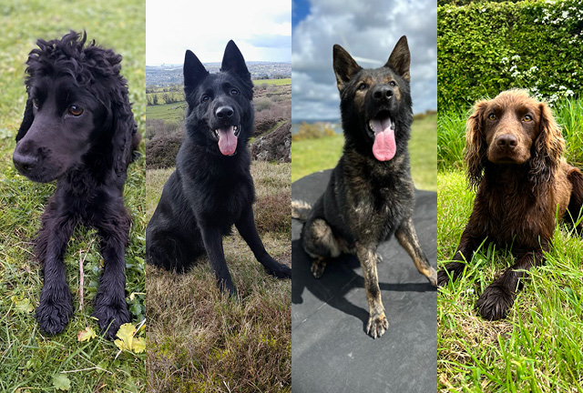 C23-0103_Pupdate_website graphics_mobile.jpg