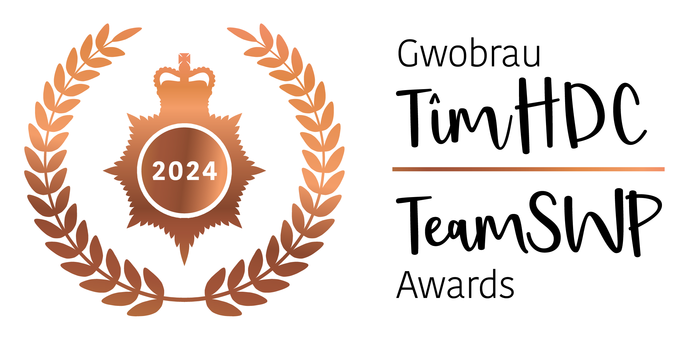 #TeamSWP Awards 2024