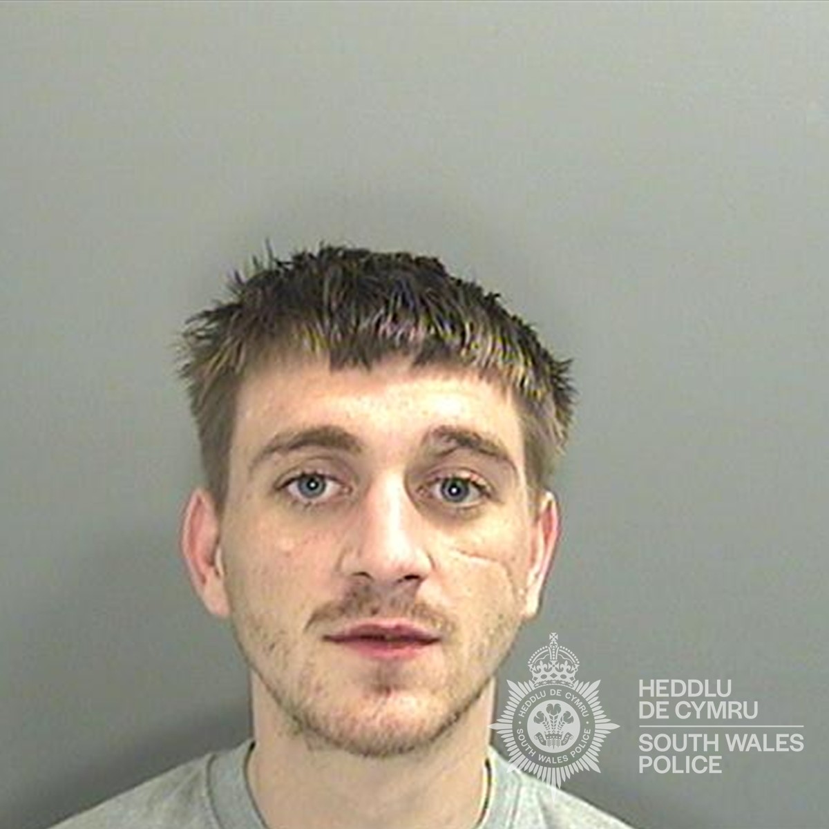 Burglar jailed following theft from house in Splott