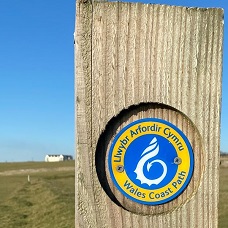 Delwedd o Saint-y-brid