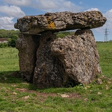 Delwedd o Gwenfô