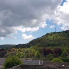 Image of Llwyn-y-pia