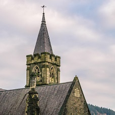Image of Mountain Ash