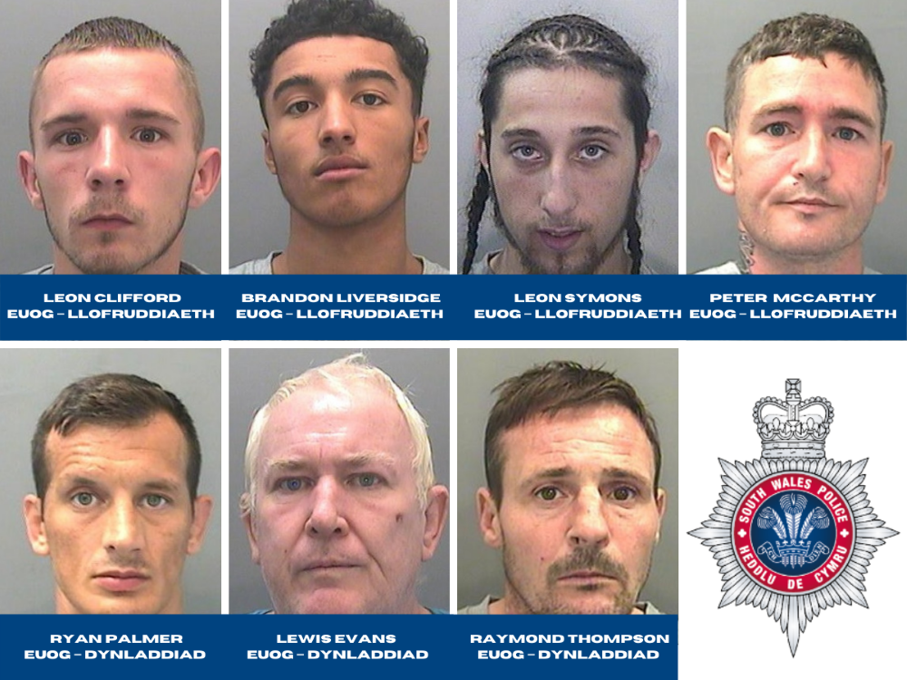 (Welsh) Harry Baker sentencing .png