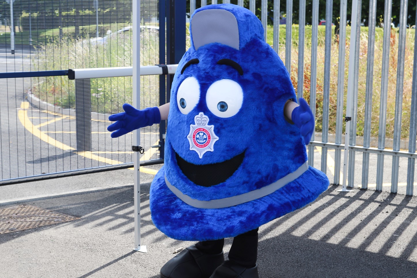 Billy Blue