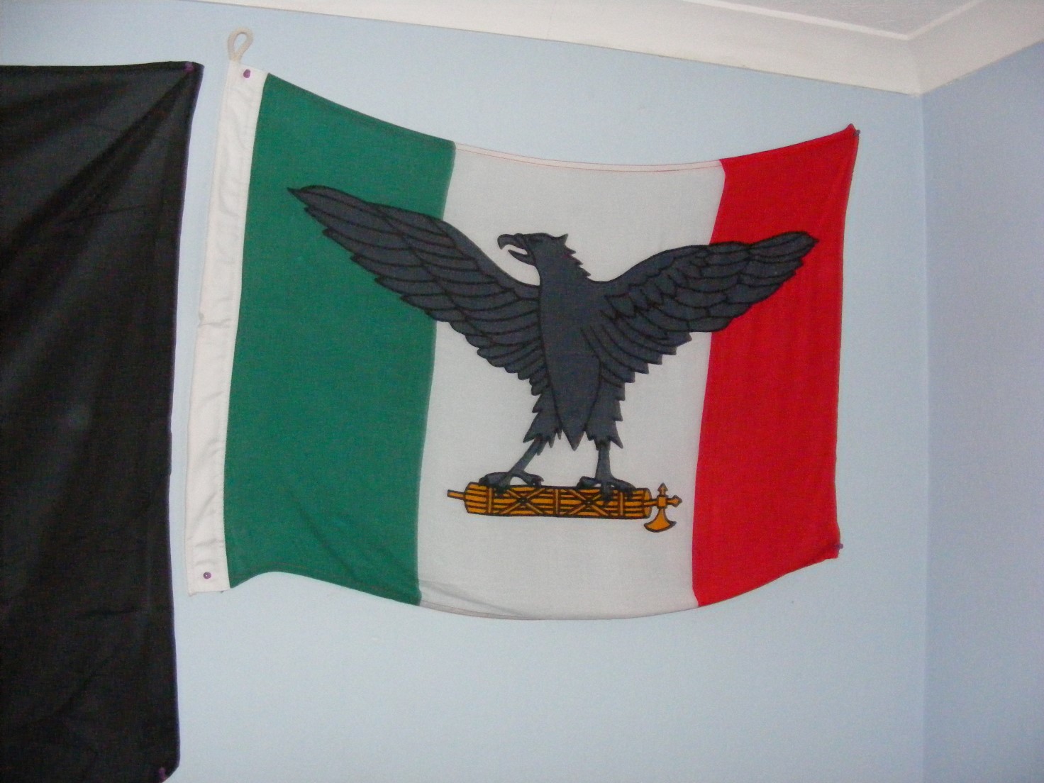 Benincasa 3.JPG