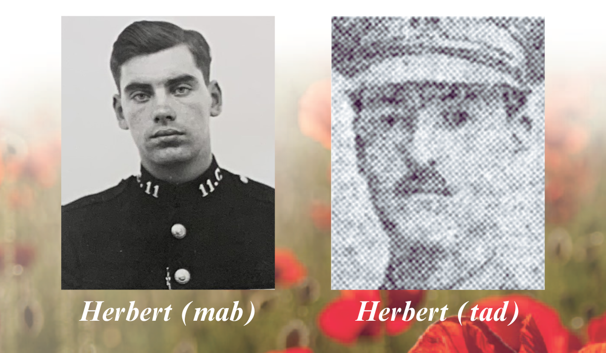 HERBERT GRAPHIC WELSH.png