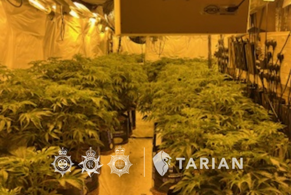 Cannabis factory