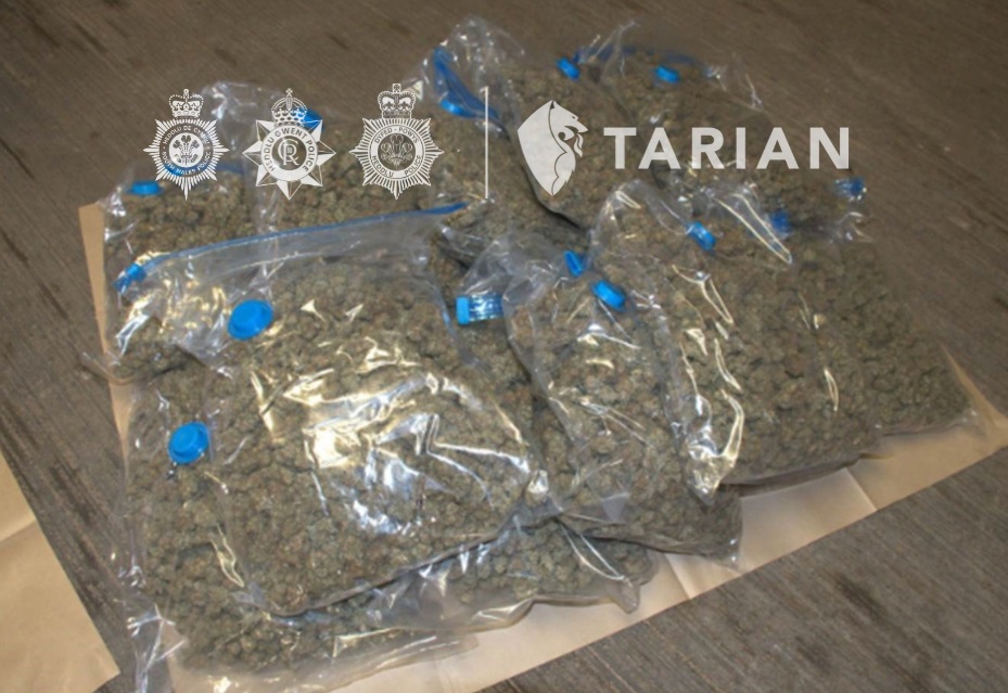 Vacuum packed cannabis.jpg