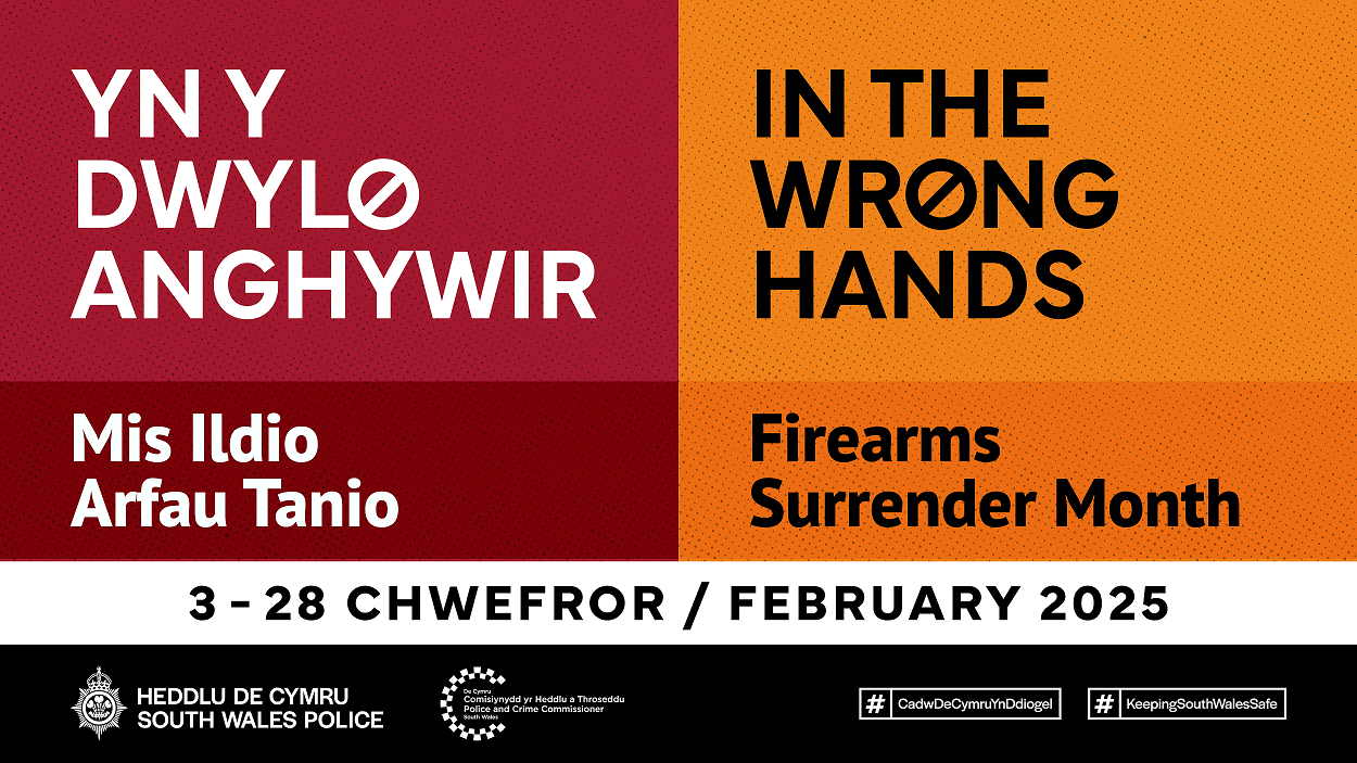 C23-0082_In The Wrong Hands_Firearms Surrender Month_2025 Graphic - SMALL.png